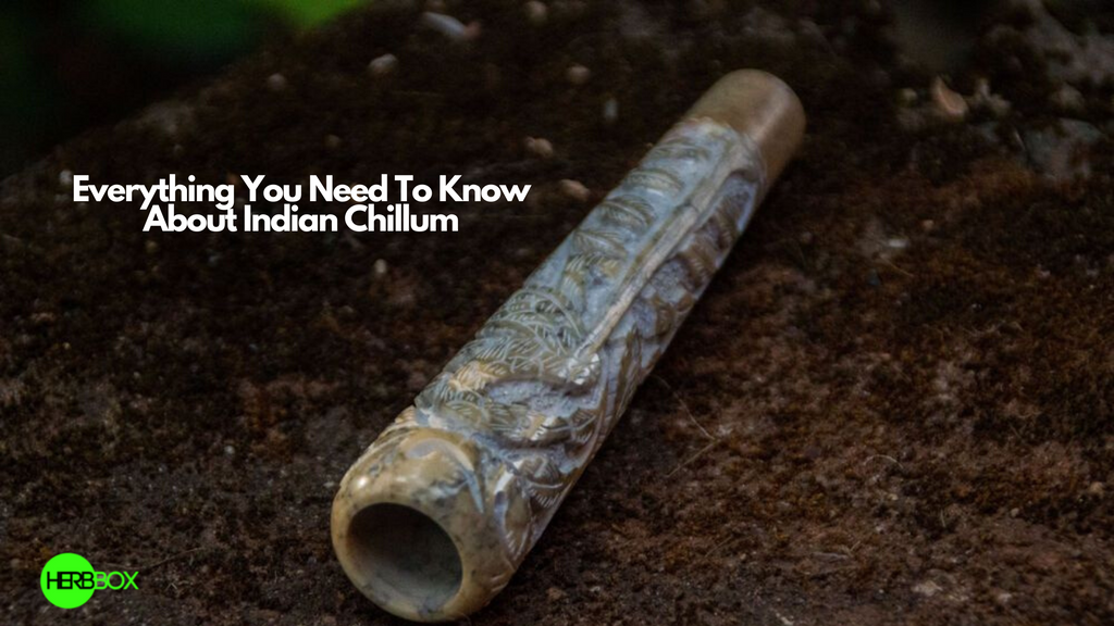 Everything You Need To Know About Indian Chillum HERBBOX India